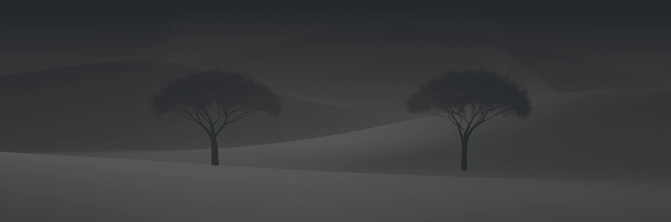 Trees landscape